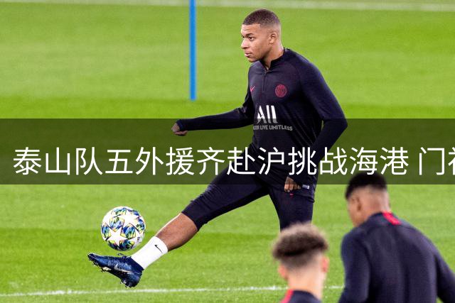 泰山队五外援齐赴沪挑战海港 门神王大雷伤缺引关注